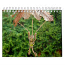 Search for folk art calendars Nature