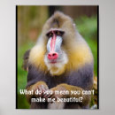 Search for beauticians posters Hairdresser