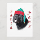 Search for newfoundland dog cards Animals