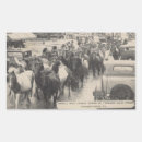 Search for wild ponies stickers Pony