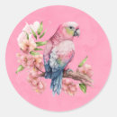 Search for cute pink bird stickers Girl