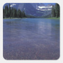 Search for glacier park stickers Environment