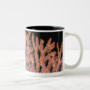 Search for sealife mugs Underwater