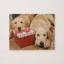 Search for golden retriever christmas puzzles Dog