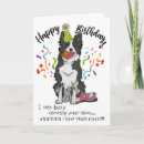 Search for border collie birthday cards Celebration