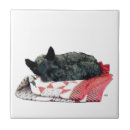 Search for scottish tiles Animals