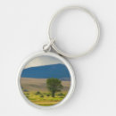 Search for urban scenes key rings Cloud