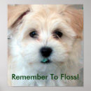 Search for dental posters Floss