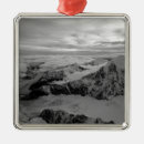 Search for dramatic christmas tree decorations Nobody
