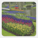 Search for hyacinth stickers Flower