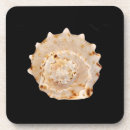 Search for aquatic barware Sea