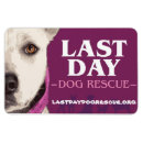 Search for rescue dogs rectangular magnets Pets