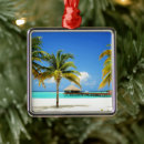Search for maldives christmas tree decorations Indian ocean