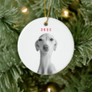 Search for upload christmas tree decorations Pet