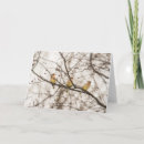 Search for cedar cards Wildlife
