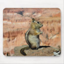 Search for ground squirrel mousepads Chipmunk