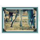 Search for grazing cards Equine