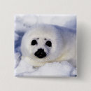 Search for pups badges Cute