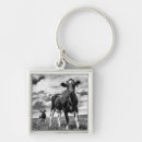 Search for cropped key rings Animals