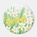 Search for easter daffodils magnets Flower
