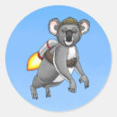 Search for funny koala stickers Nature