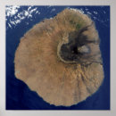 Search for cape verde art Outdoors