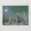 Search for borealis photography Night sky