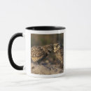 Search for burrowing owl mugs Wildlife