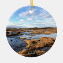 Search for occasions christmas tree decorations Xmas