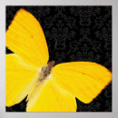 Search for butterfly pattern art Yellow