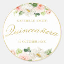 Search for pink quinceanera stickers Watercolor
