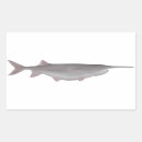 Search for mississippi state stickers United states