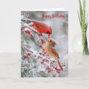 Search for cardinal cards Tree