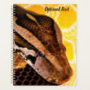 Search for python office supplies Reptile