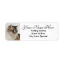 Search for tabby cat return address labels Animals