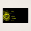 Search for wasser Sonne