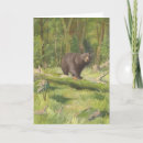 Search for black bear cards Wildlife
