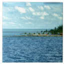 Search for caribbean island tiles Tropics