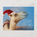 Search for camel christmas cards Celebration