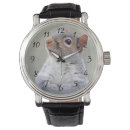 Search for gray squirrel accessories Rodent
