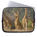 Search for ralph h bendjebar cases Wildlife