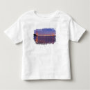 Search for kirby tshirts City