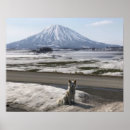 Search for doge posters Shiba inu