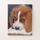 Search for beagle puppy puzzles Dogs