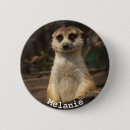 Search for beautiful badges Wild
