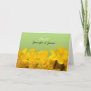 Search for daffodil cards Photography