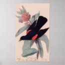 Search for wing posters Vintage