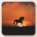 Search for horse coasters Wild