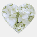 Search for white hydrangea stickers Flowers
