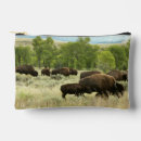 Search for bison accessories Nature
